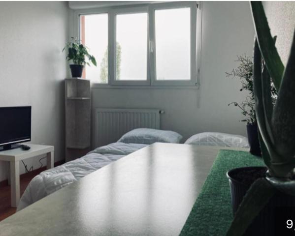 Zenith Strasbourg 2 Chambre Eckbolsheim Εξωτερικό φωτογραφία